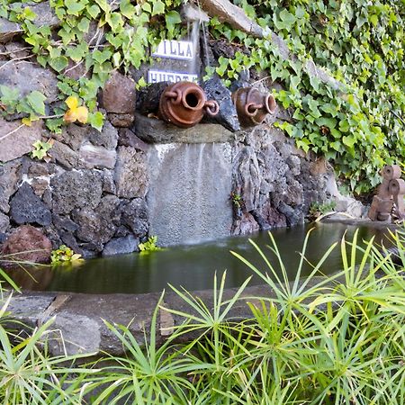 Casa Los Grabados, Piscina, Vistas, Barbacoa Y Zen Icod De Los Vinos Dış mekan fotoğraf